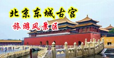 国产农村骚妇操逼中国北京-东城古宫旅游风景区